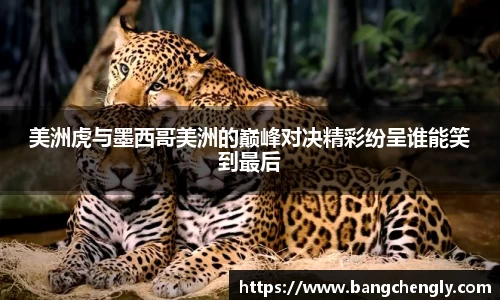 美洲虎与墨西哥美洲的巅峰对决精彩纷呈谁能笑到最后