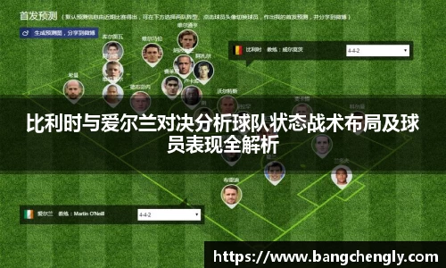 比利时与爱尔兰对决分析球队状态战术布局及球员表现全解析